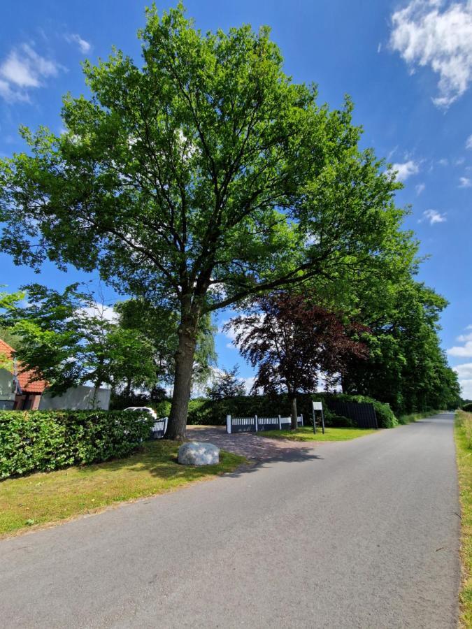 Friesenparadies Fri-Suedliches Friesland ボックホルン エクステリア 写真