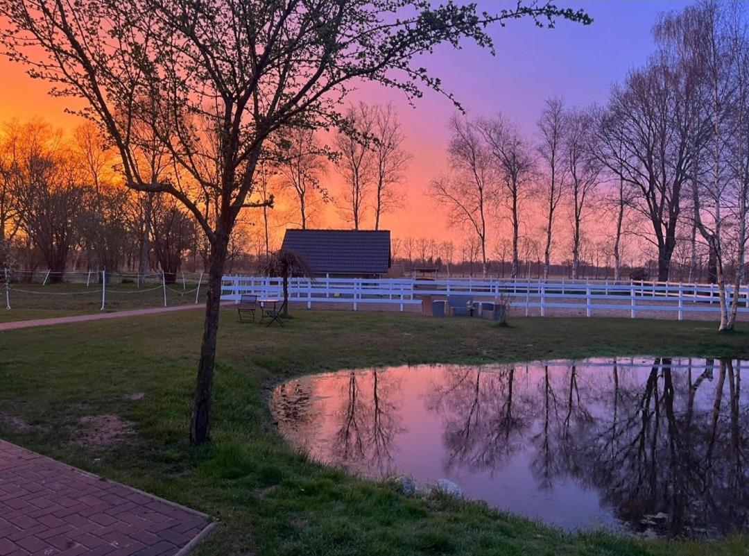 Friesenparadies Fri-Suedliches Friesland ボックホルン エクステリア 写真